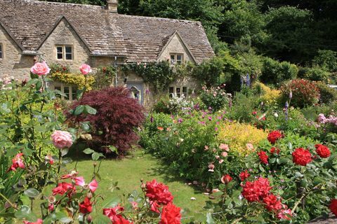 Salah satu kebun terbaik di pasak Bibury; William Morris menyebutnya desa paling indah di negara ini;