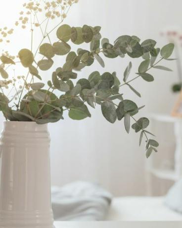 eucalyptus dan gypsophila dalam kendi di kamar tidur putih