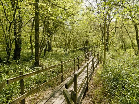 Salah satu tempat tinggal negara Dartmoor terbaik untuk dijual