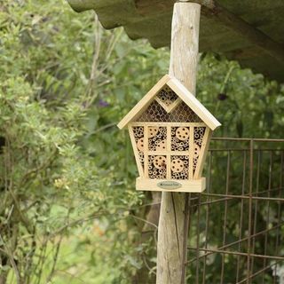 National Trust CJ Wildlife Apex Insect House