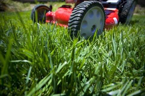 Memotong rumput: Kedalaman tembakan lapangan dari depan mesin pemotong rumput di halaman yang sulit diatur.