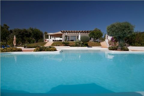 villa dalia - Ibiza - kolam renang - Zoopla