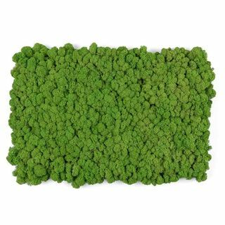 Living Wall Moss Tile