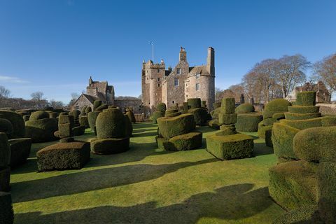 Kastil Earlshall - St Andrews - topiary - Skotlandia - Savills