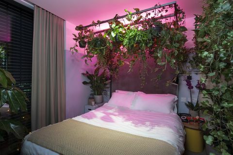 houseplant-hotel-leman-locke-east-london