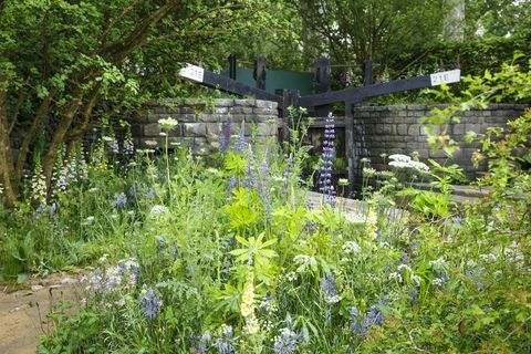 Chelsea Flower Show 2019 - Selamat datang di taman Yorkshire oleh Mark Gregory