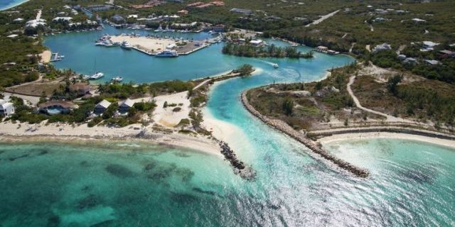 Pulau tempat Anda bisa memeluk anak-anak anjing