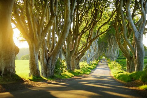 pagar gelap, irlandia utara