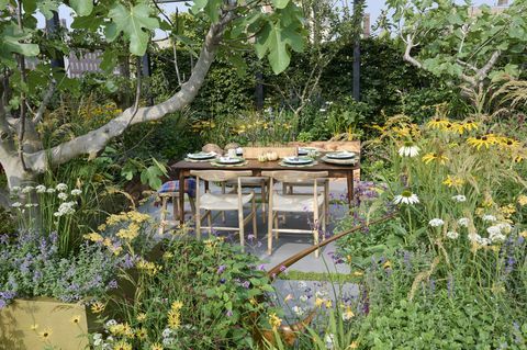 chelsea flower show 2021 taman kotak peterseli yang dirancang oleh alan williams