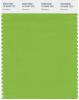 Greenery dinamai Pantone's Color of the Year 2017