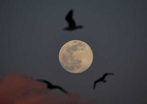 Supermoon di Istanbul Turki