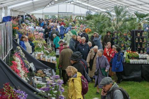 Pengunjung di Floral Marquee di RHS Malvern Spring Festival 2019.